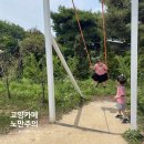 고양 노만주의 카페 : 트램폴린 그네 잔디밭이 있는 곳