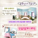 신성롯데공인중개사사무소 이미지