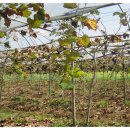 부래미 마을 이미지