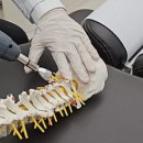 힐강한의원 이미지