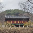 뿌리마춤