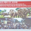 〔정책기자단 계인숙 9-⑥〕 기후위기 시대 「희망을 여행하라」 ‘임영신’ 작가 초청 강연 참여 후기
