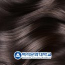 디자인두헤어