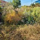 불은면-3 이미지