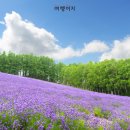 푸른광고기획 이미지
