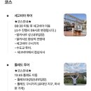 라파엘약국 | [ 스페인 ]_3월 마드리드 Day 3 (세고비아 톨레도 투어, 알카사르, 백설공주성, 수도교, 톨레도 대성당...