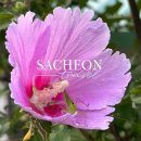 곤명생태학습장 이미지