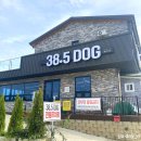 38.5DOG | [ 38.5Dog ] 여름 끝자락, 라봉이랑 물놀이🐳
