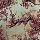 셀프 발마사지로 건강 챙기기 | 뭉친 근육, 붓기 NO! 가산 발마사지가 족부 건강을 지키는 비밀스러운 방법