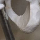 정선한의원 이미지