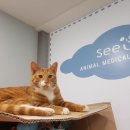 한가람메디칼 이미지