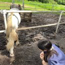 스테이 고집 이미지