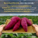 아어가지 이미지