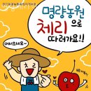 진도농장 | 블루베리체험 명량체리원 강원도가볼만한곳 블루베리체험농장 위치 예약 후기