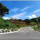 보현산자연휴양림 산 이미지