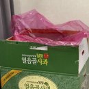 서울베스트치과의원 이미지