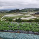 가린영농조합법인 이미지