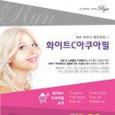 화이트필의원 이미지