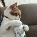 애터미안성최고