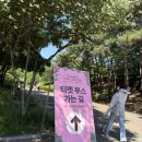 2026 뷰민라 2일차 후기 : 한달치 사람구경 하루만에 끝낸 후기