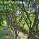 씨밀레자연관광농원 이미지