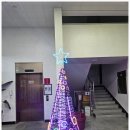 더드림돼지 | 대천해수욕장 맛집 '더드림육해공삼합' 솔직후기 육해공삼합,해물칼국수,해물라면 먹어본 리뷰