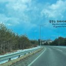 강원횟집 - 양양군 매바위길 138 | 강원횟집