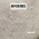아토웰의원