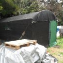 강정동-17 이미지