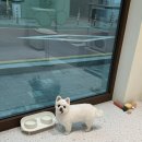 플로이몽 이미지