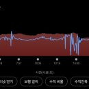이월십팔일