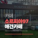삼육사로21 | 소르피아97 동두천 애견카페 강아지와 힐링 데이트 동두천 카페 추천