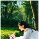 라파엘동물병원 이미지