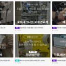 강아지미용실 이미지