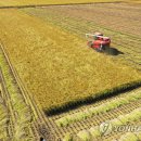 금탑농장 이미지