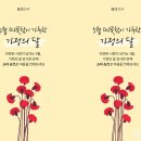 소다DFD