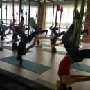 바디핏 요가 이미지