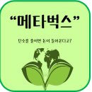 메타벅스 이미지