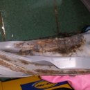 옥계2공단로-2 이미지