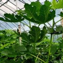 호정농장 이미지