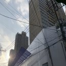 코사할인마트 이미지