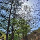 공작산계곡 오토캠핑장 | 명품계곡을 품은 캠핑장, 홍천 공작산계곡오토캠핑장