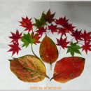 남양성지로 이미지