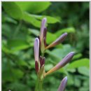 어물동마애여래좌상 이미지