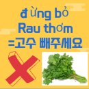 호아 이미지