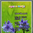 I just like you!(swi) 이미지