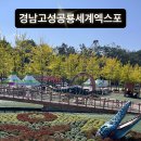 2025경남고성공룡세계엑스포 | 2025 경남 고성 공룡세계엑스포 후기 주차 꿀팁 입장료 공룡빵 정보