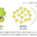 이엠미라클