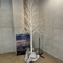공주 동학사카페 베이커리카페 프로비던스 PROVIDENCE