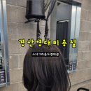 스너그라운드 이미지